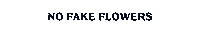 Logo Typography Sticker by No Fake Flowers