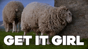 Excited Feel Good GIF by Sealed With A GIF