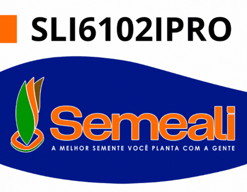GIF by semealisementes