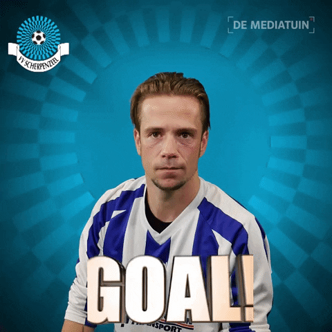 Voetbalvereniging_Scherpenzeel voetbal bal blauwwit hoofdklasse GIF