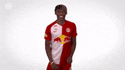 Happy Dance GIF by FC Red Bull Salzburg