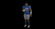Football Sport GIF by Detroit Lions