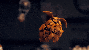 Clash Of Clans Gingerbread GIF by Clash