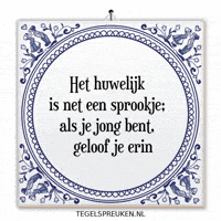 Humor Nl GIF by Tegelspreuken.nl