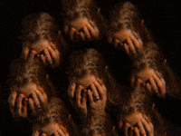 Look Staring GIF by GIPHY IRL