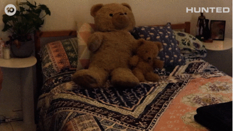 Huntedau GIF by Hunted Australia