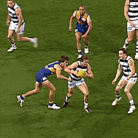 GIF by AFL