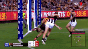 2018 season football GIF by AFL