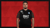 Fc Magdeburg Football GIF by Bundesliga