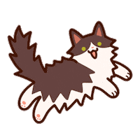 Cat Zorrita Sticker
