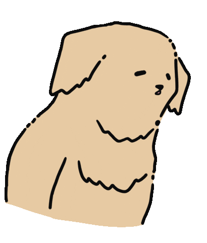 GoldendogBlackcat giphyupload talking yapping goldenretriver Sticker