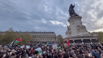 Pro-Palestine Protesters Gather in Paris After Court Strikes Down Protest Ban