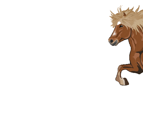 Easyflix giphyupload horse pony pferd Sticker