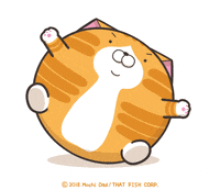 happy cat GIF by MochiDad