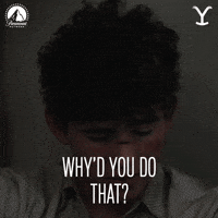 GIF by Yellowstone
