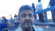 usa love GIF by MLB