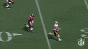 Washington Football Team GIF by NFL
