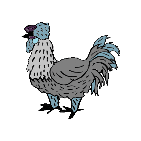 Rooster Hahn Sticker