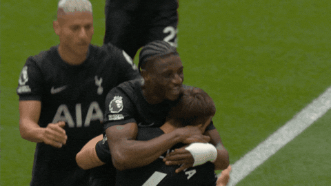 Celebration Goal GIF by Tottenham Hotspur