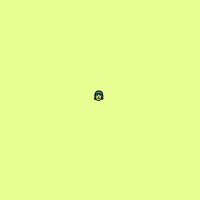 In Your Face Hello GIF by James Clapham
