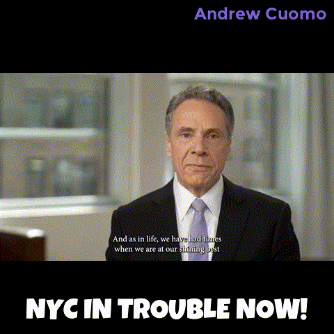 New York Vote GIF by Andrew Cuomo