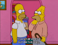 homer simpson episode 6 GIF
