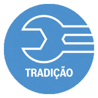 100 Years Car Sticker by Bosch Service Brasil