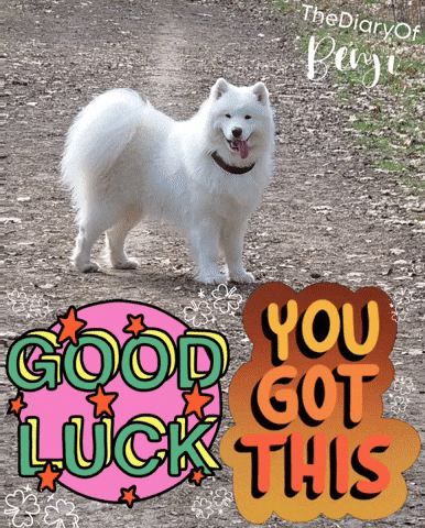 Luck Success GIF