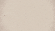 call it what you want GIF by Taylor Swift