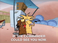 nickrewind nicksplat angry beavers GIF