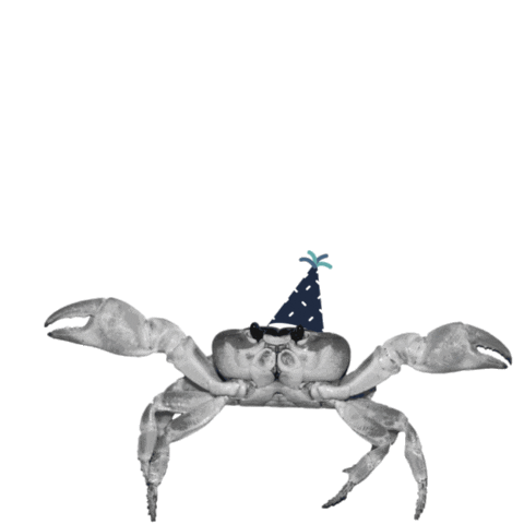 Crab Krebs Sticker by DEICHBRAND Festival 