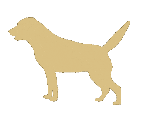 rogueartlab giphyupload dog happy dog labrador Sticker