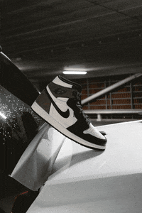 GIF by hdg