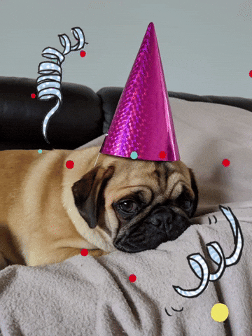 Party Animal Pug GIF