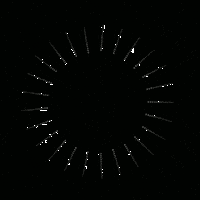 3D Flower Sticker by Quasi Crystals