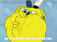 season 5 GIF by SpongeBob SquarePants