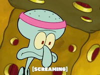 season 5 GIF by SpongeBob SquarePants