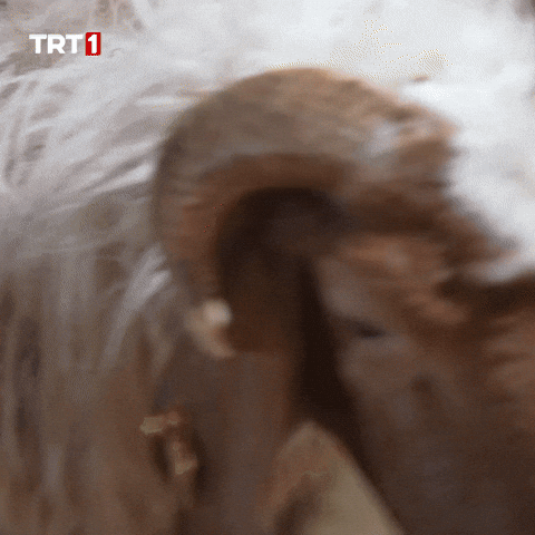 Wake Up What GIF by TRT