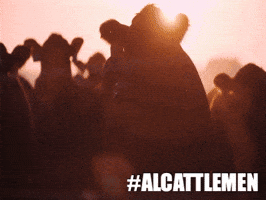 ALCattlemen aca cattle cattleman bama beef GIF