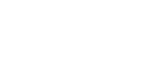 Koy Sticker