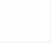 Chicken What GIF by Yay! Digital