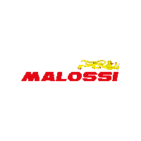 MalossiSpa scooter vespa athena mhr Sticker