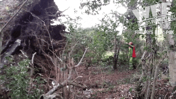 world's fails GIF by World’s Funniest
