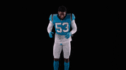 Happy Good Vibes GIF by Carolina Panthers