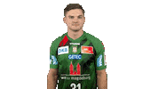 Handball-Bundesliga Handball Sticker by LIQUI MOLY HBL