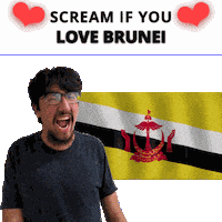 Brunei Flag Sticker