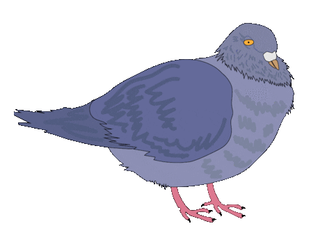 Bird Bouncing Sticker by Brendari