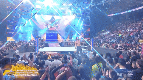 Summerslam 2019 Reaction GIF by WWE