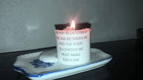 catiehannigan giphyupload GIF