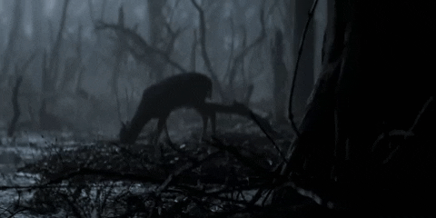 annakerepeczki giphyupload the witcher GIF